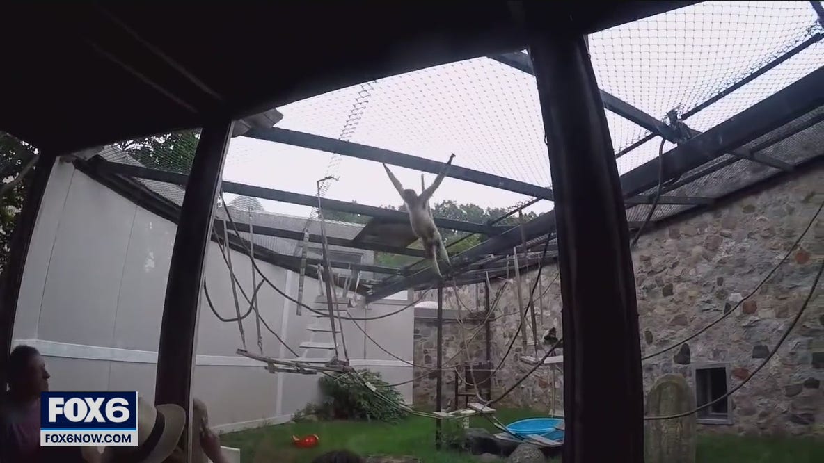 Milwaukee County Zoo behind the scenes